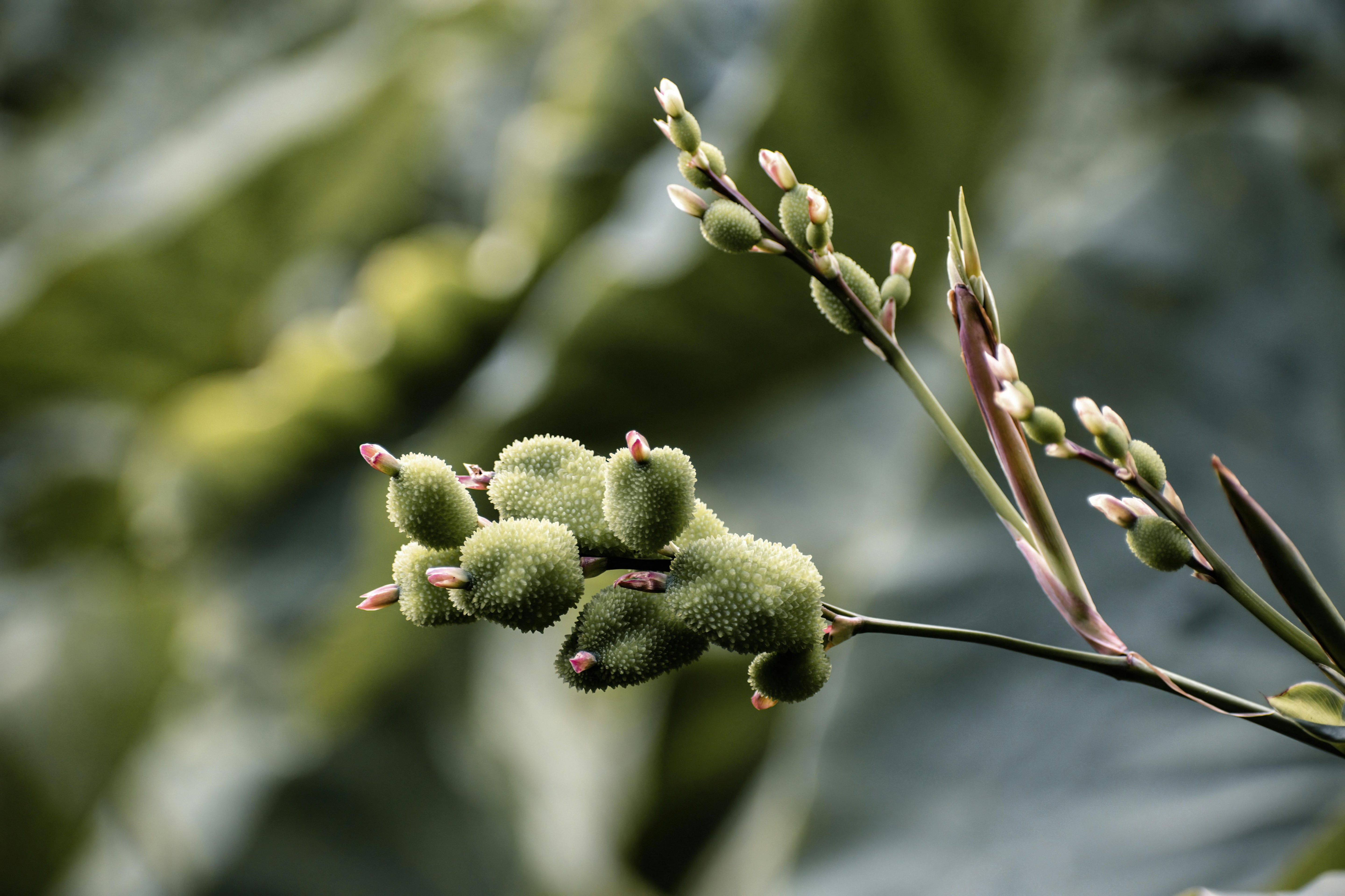 3 hydration benefits of chia seeds, explained by science