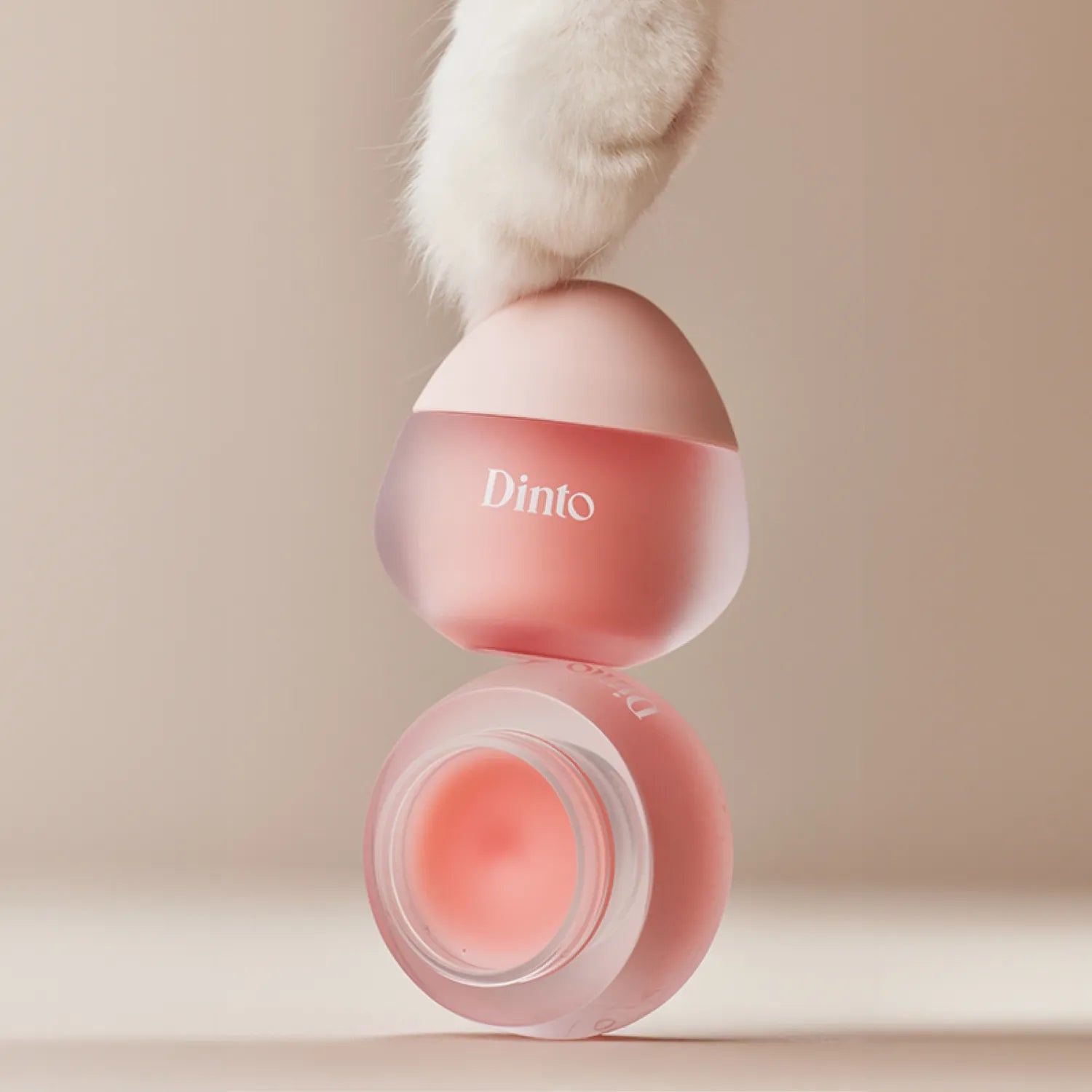 Dinto Chubby Mocchi Jelly Paw Paw Lip Mask