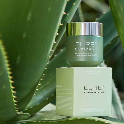 KIM JEONG MOON Aloe Cure Plus Intensive 2X Cream