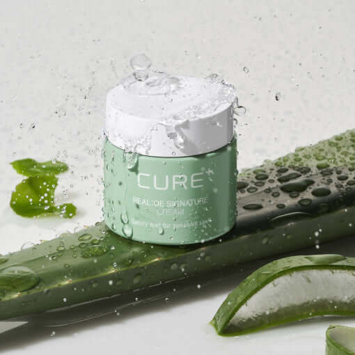 KIM JEONG MOON Aloe Cure Realoe Signature Cream