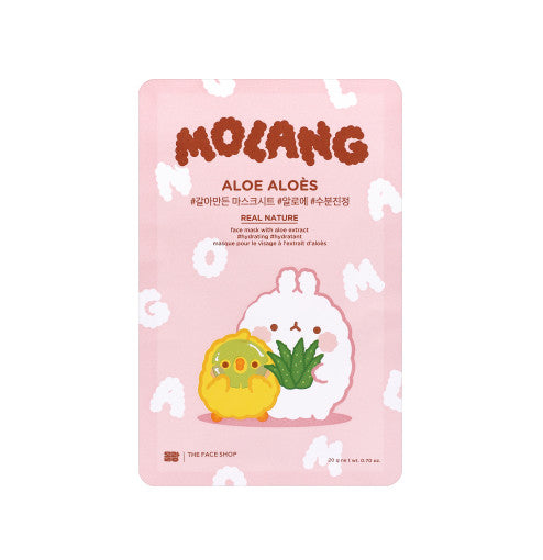 THE FACE SHOP Real Nature Aloe Face Mask Set x 10