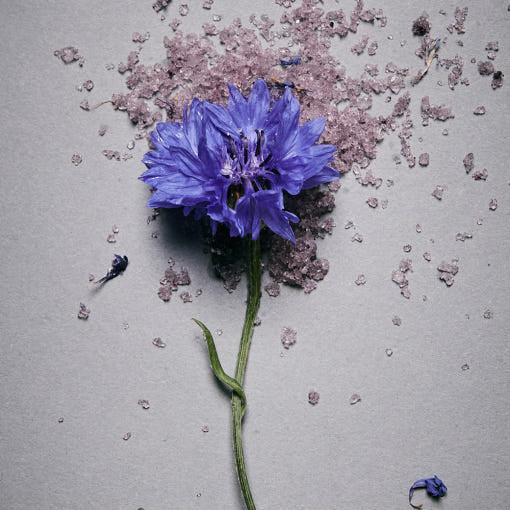 AROMATICA Serene Bath Salts Lavender & Marjoram