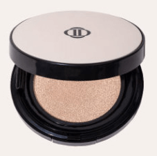 Dinto Blur Finish Cushion  (+ Refill)