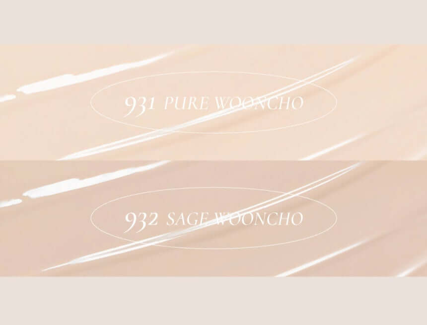 Dinto Wooncho Blur Glowy Foundation 25ml
