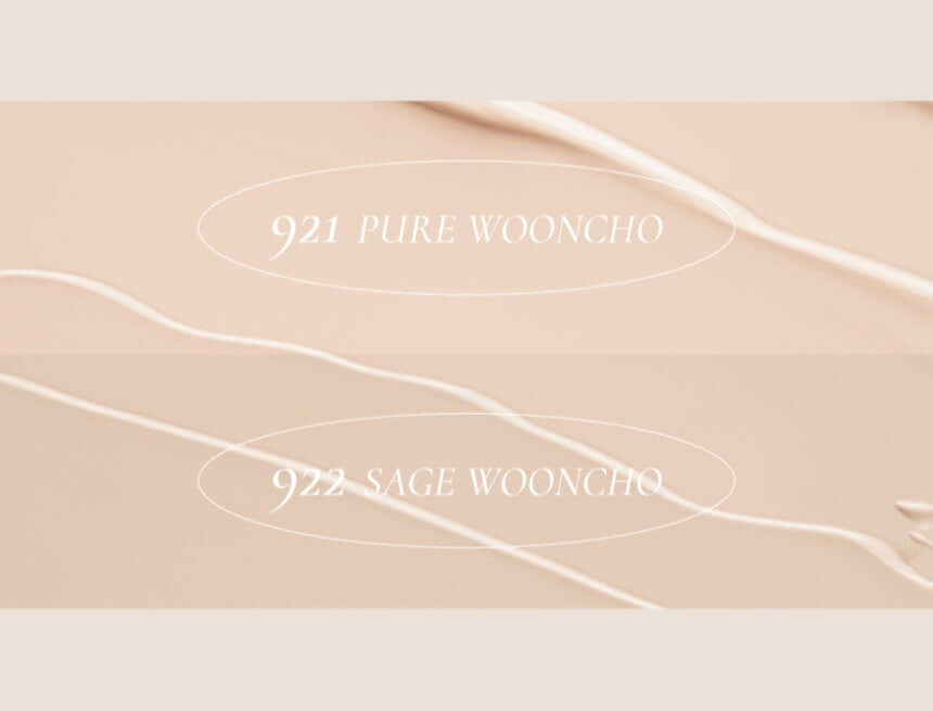 Dinto Wooncho Blur Matte Foundation 25ml